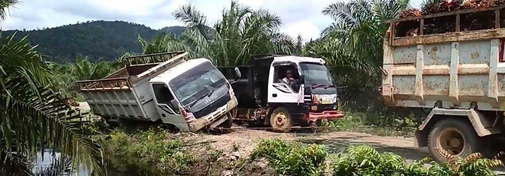 Perkuatan Jalan Akses Perkebunan Kelapa Sawit