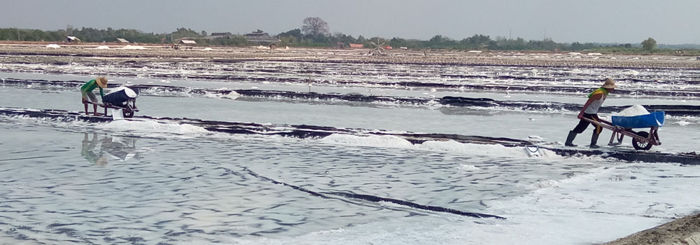 Tingkatkan Hasil Tambak Garam dengan HDPE Geomembran