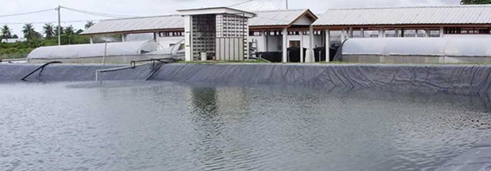 Apa Saja Manfaat Geomembrane?
