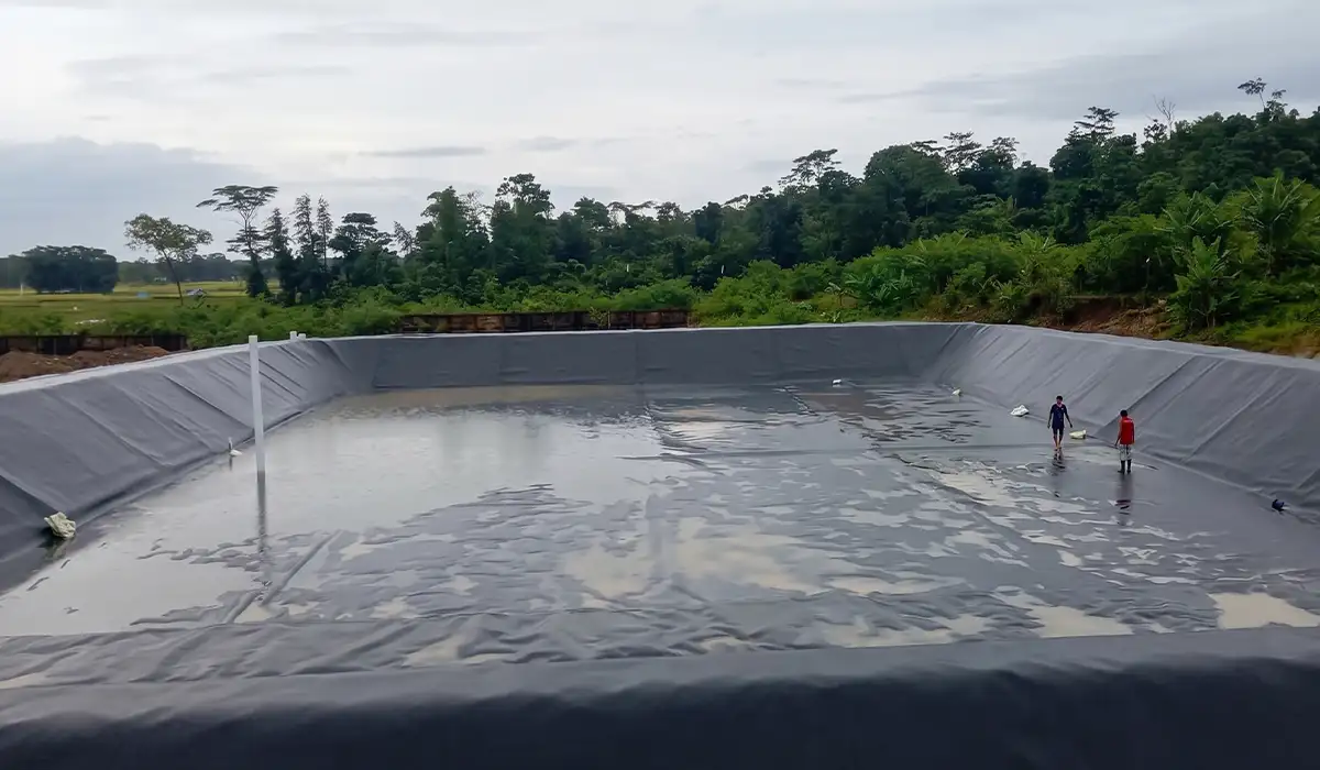 Geomembran HDPE Sebagai Lining Tambak Udang Vaname Anti Bocor di Ujung Kulon, Banten