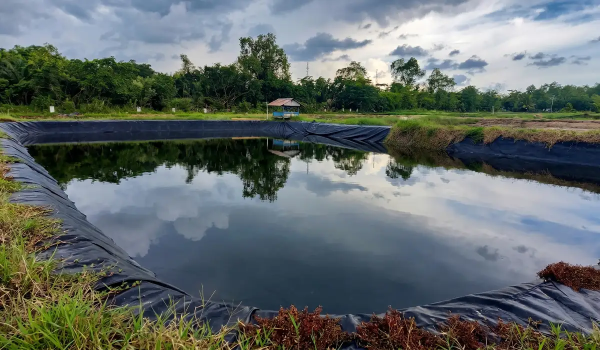 Mengamankan Ekosistem Tambak dengan Teknologi HDPE Geomembrane 0.5mm di Pariaman, Sumatera Barat