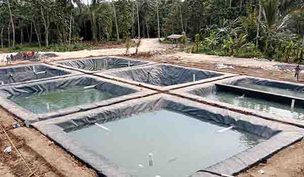 Kolam HDPE: Solusi Awet & Hemat Biaya