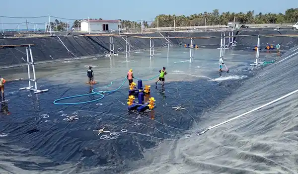 Menentukan Ketebalan Geomembran untuk Tambak Udang